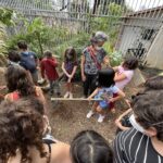 O caminho dos alimentos