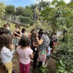 O caminho dos alimentos