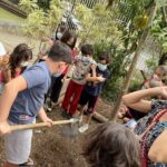 O caminho dos alimentos
