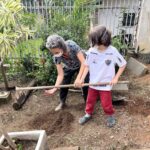 O caminho dos alimentos